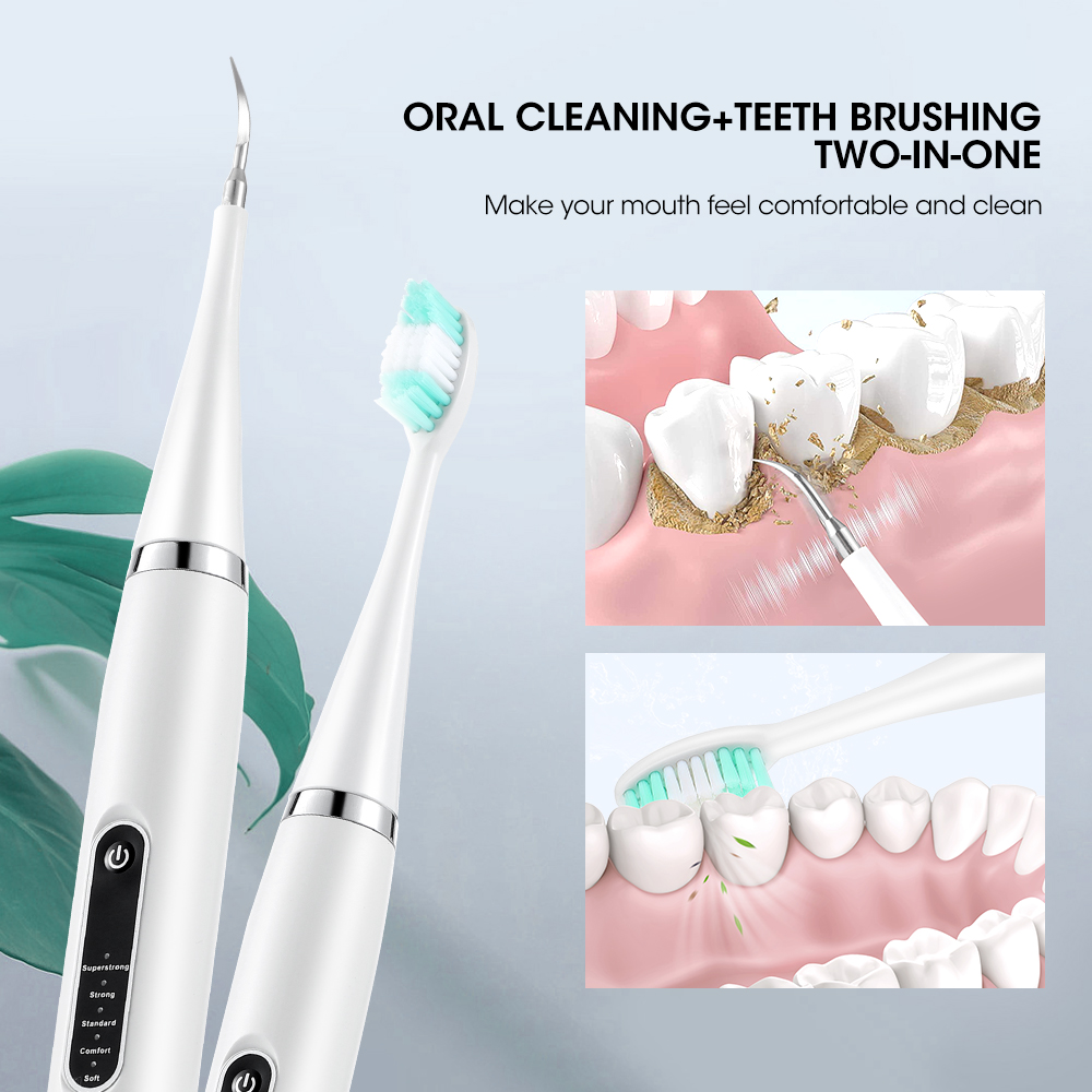 Electric Teeth Cleaner Sonic D - Teeth Whitening Toothbrush 评论和价格